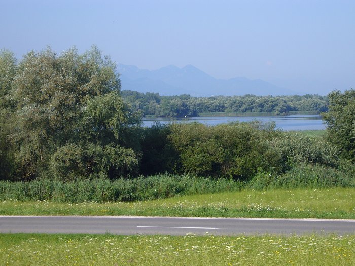 Aussicht auf den Chiemsee