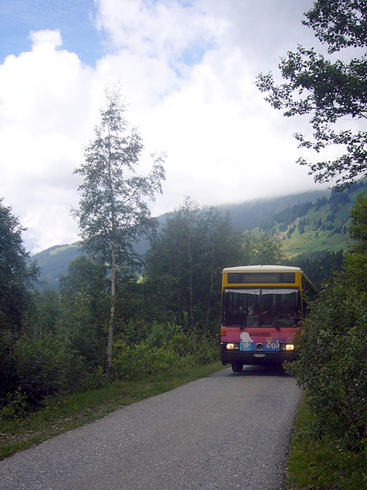 ... und da ist schon der erste Bus