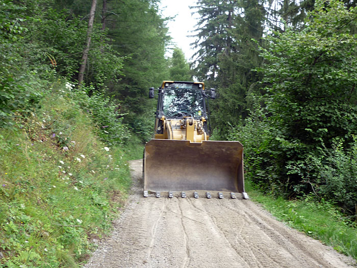 Deja-vu (Gardaseetour 2011) mit einer Raupe