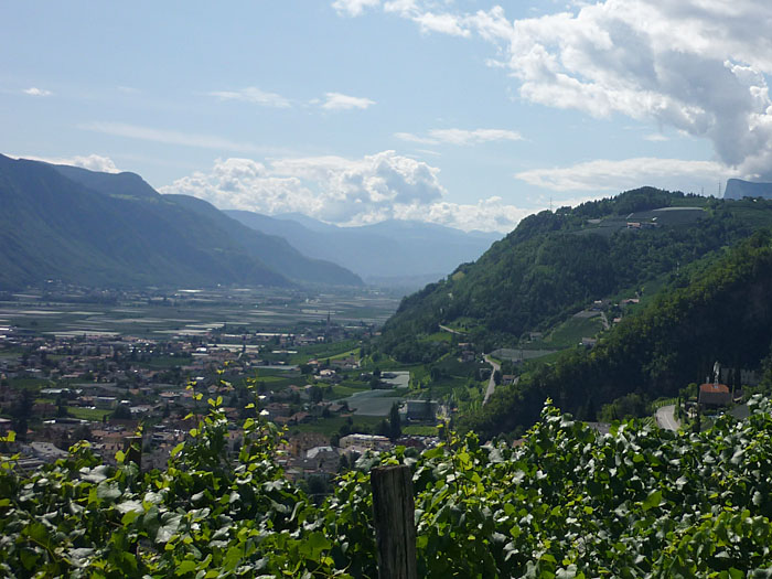 Blick auf Meran