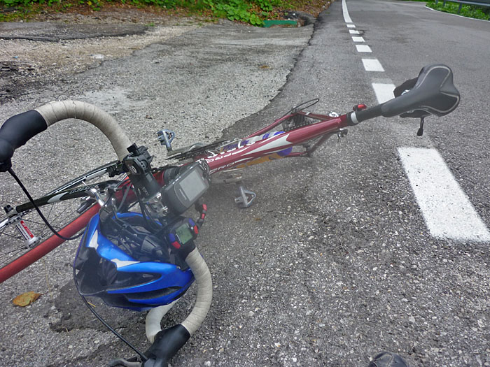 Reinis Pferd ist müde