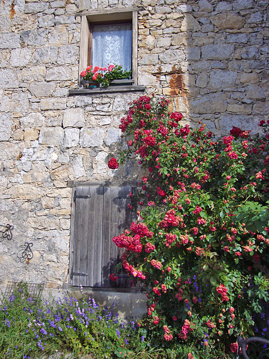 Ein letzter Blumengruß ...