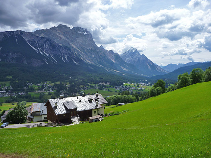 Die grüne Wiese ...