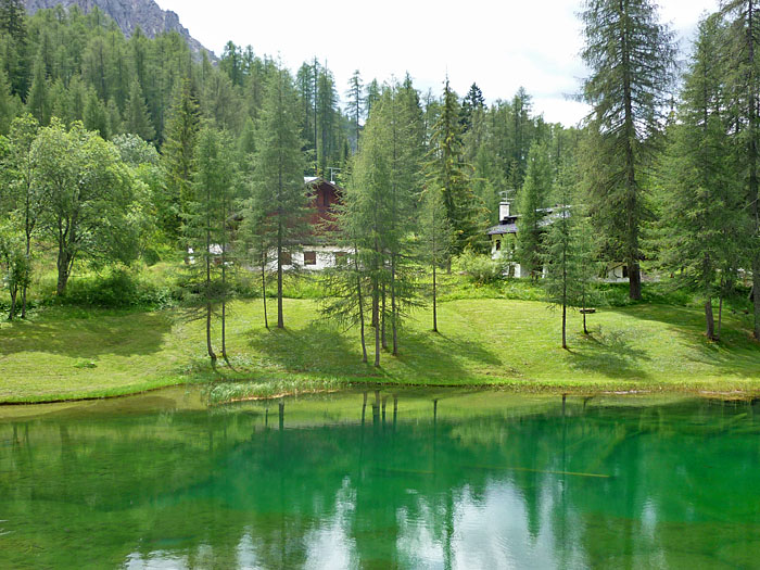 Es grünt so grün ...