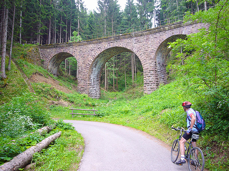 Viadukt kurz vor Kaltenbrunn