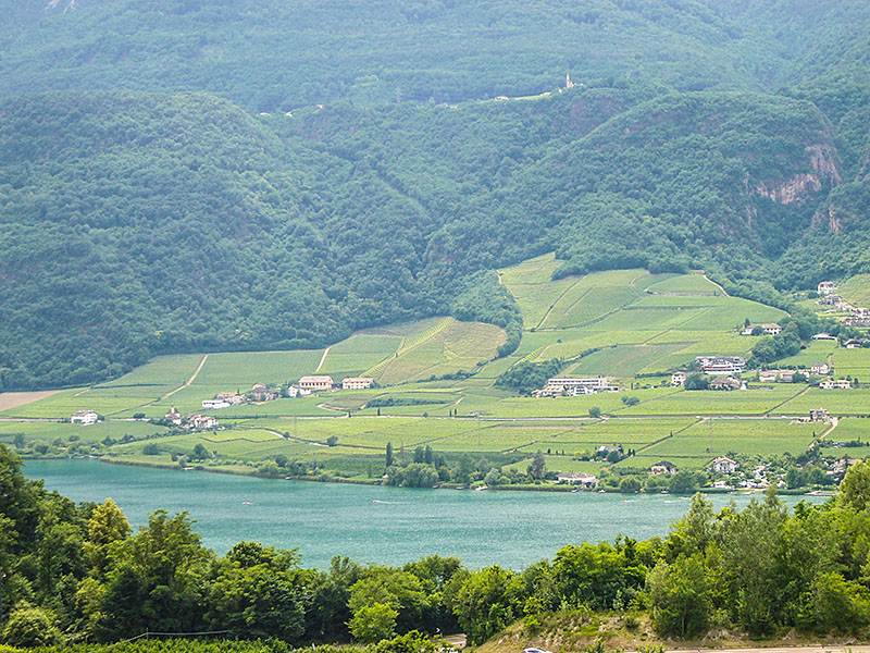 Der Kalterer See grüßt herauf