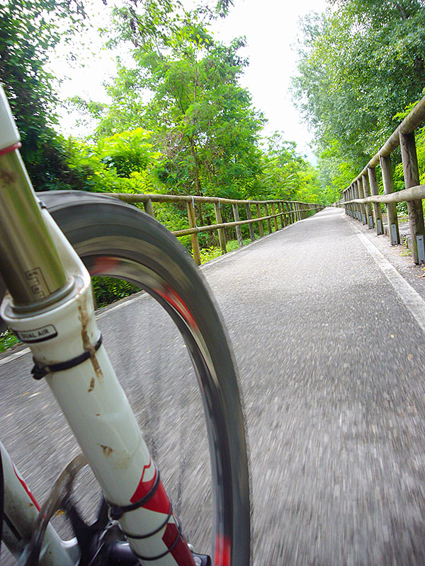 Auf dem Etschtalradweg