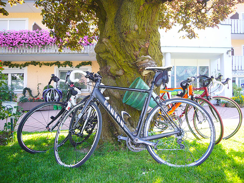 ... beobachten die parkenden Räder ;-)