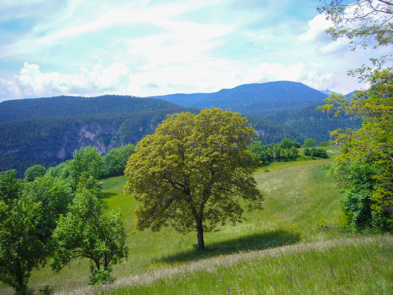 Aussicht ins Nonstal