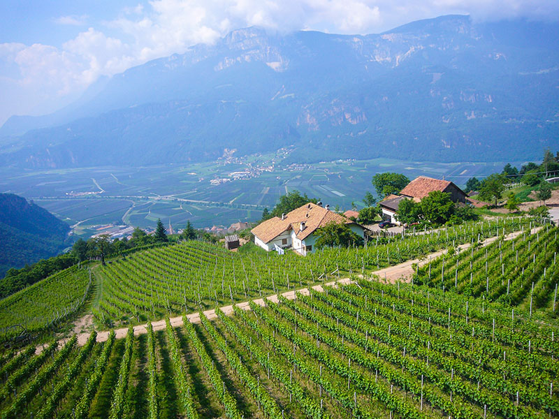 Von ganz dort unten sind wir herauf gekommen