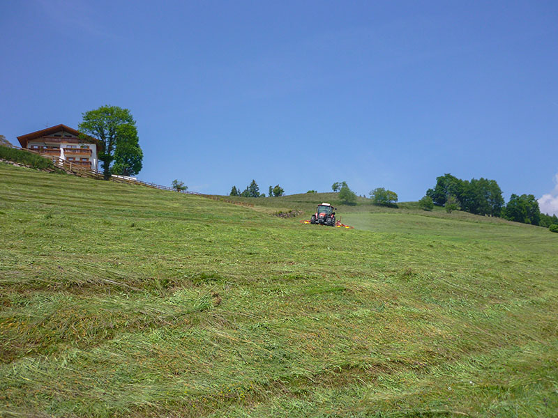 Wenn die Bauern mähen, bleibt das Wetter gut