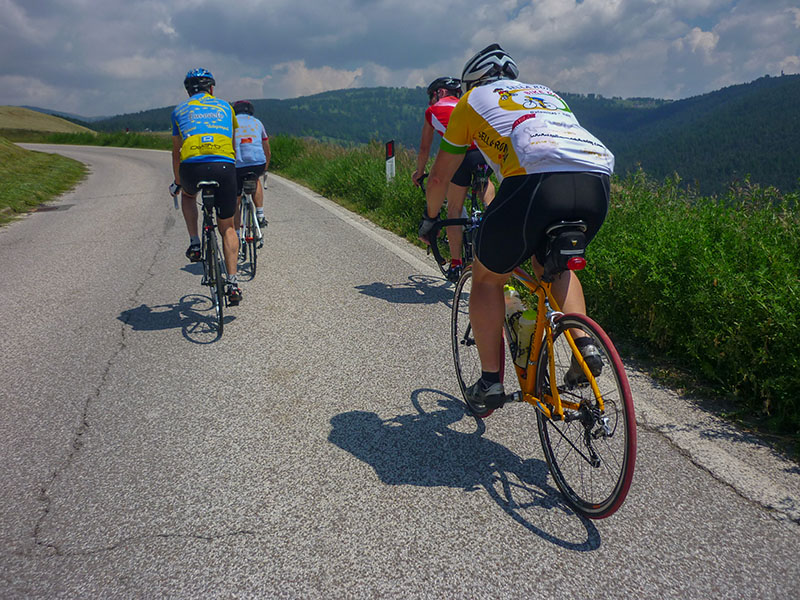 Noch ein Stückchen fahren wir nach oben ...