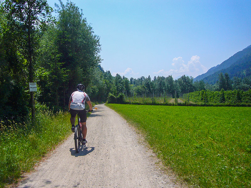 Bei ca. 30°C fällt einem auch das Berabfahren nicht leicht