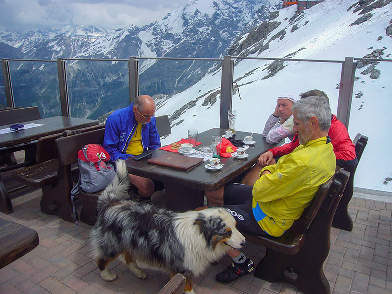 Der Passhund besucht uns, aber ohne Rumfässchen am Hals ;-)