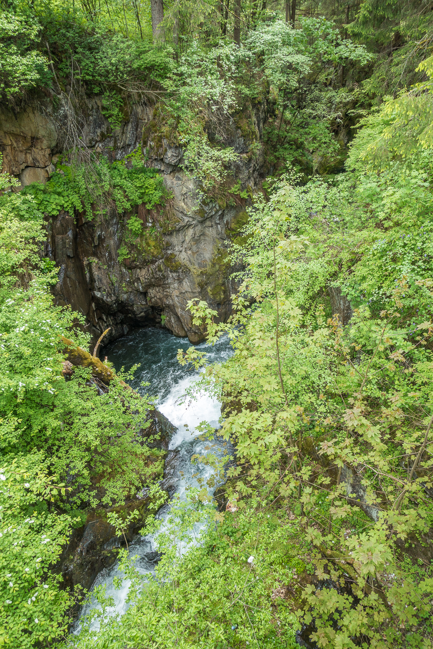 ... stürzt sich in die Schlucht