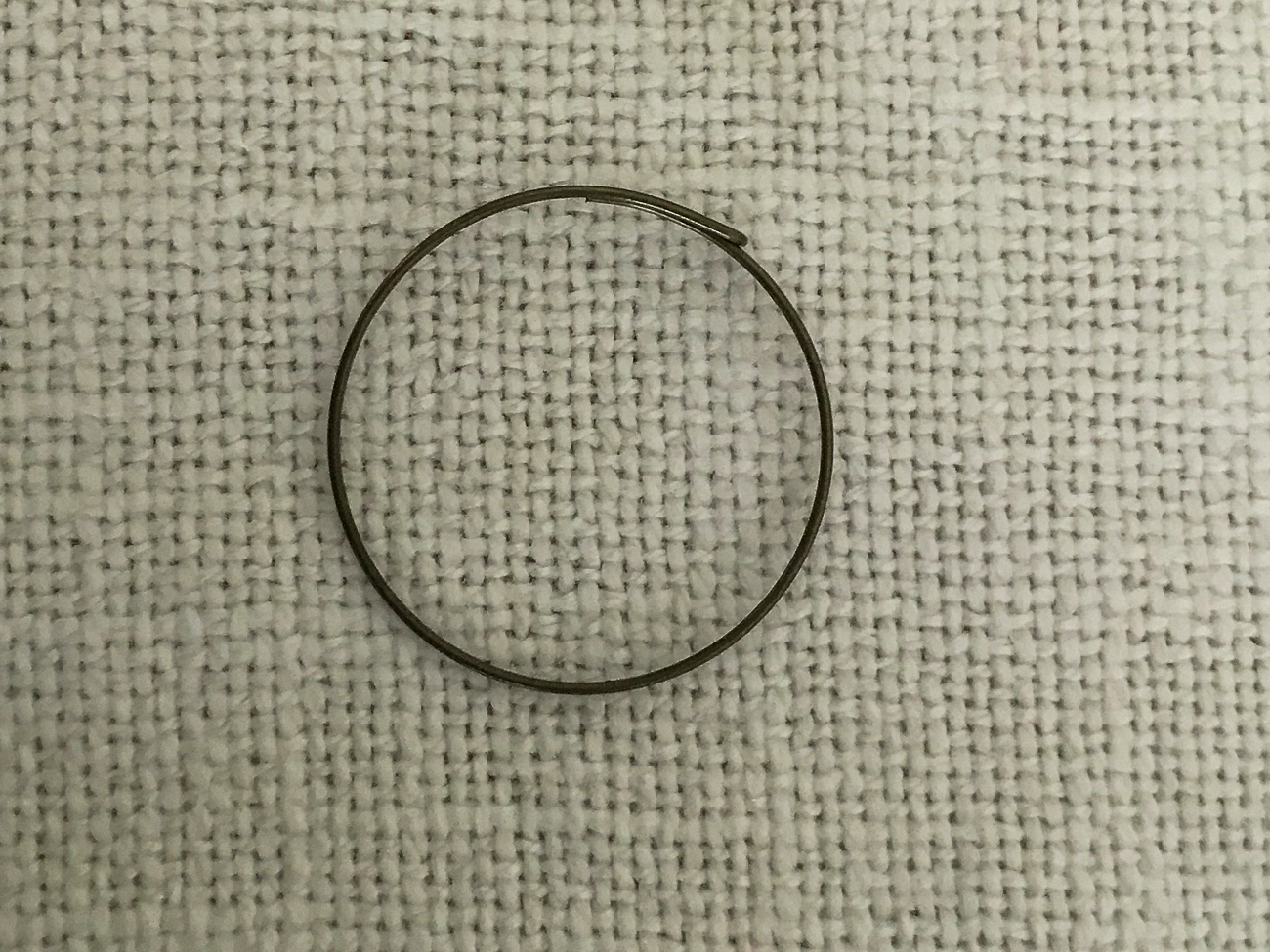 Das war der Übertäter: Der Federring, der den Freilauf zusammenhält