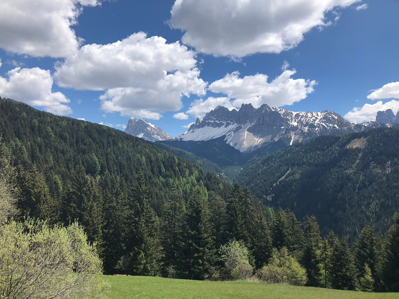 Bergblick
[Bild: Reinhard] 