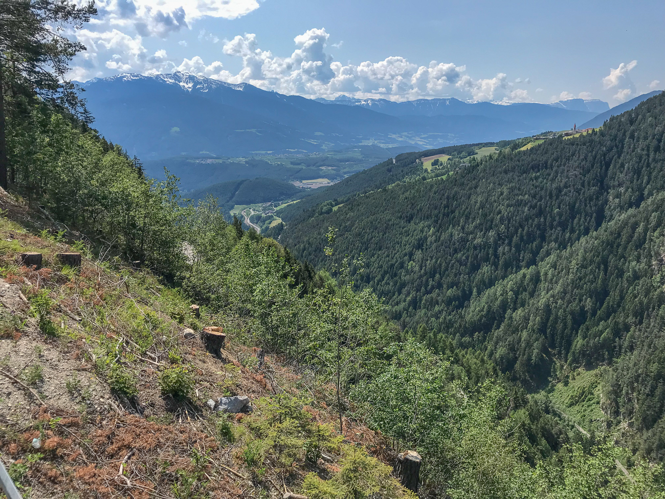 Blick ins Tal
[Bild: Reinhard] 