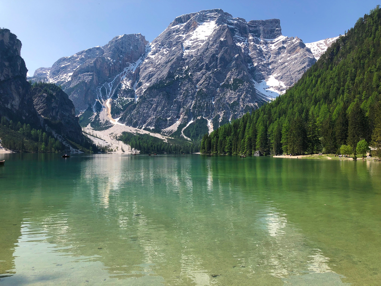 Am Pragser Wildsee
[Bild: Reinhard] 