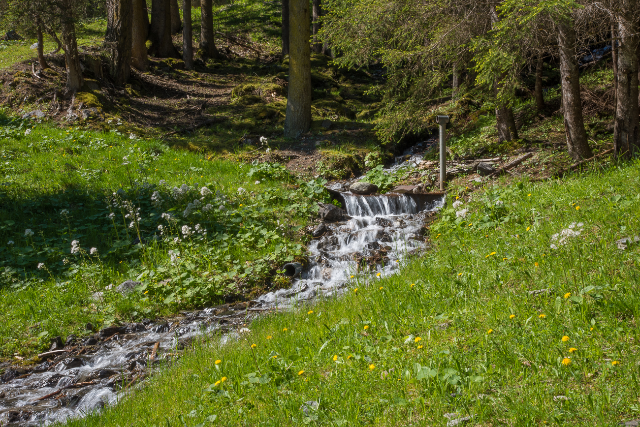 Reichlich Wasser ...