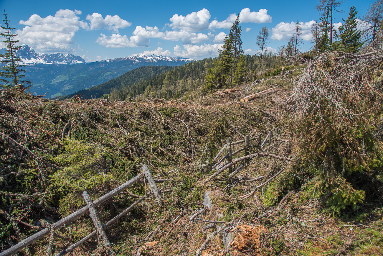Ab hier ist der Wanderweg unpassierbar :-(