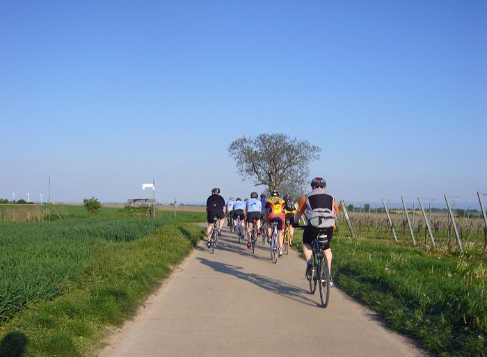 Unterwegs in der Pfalz