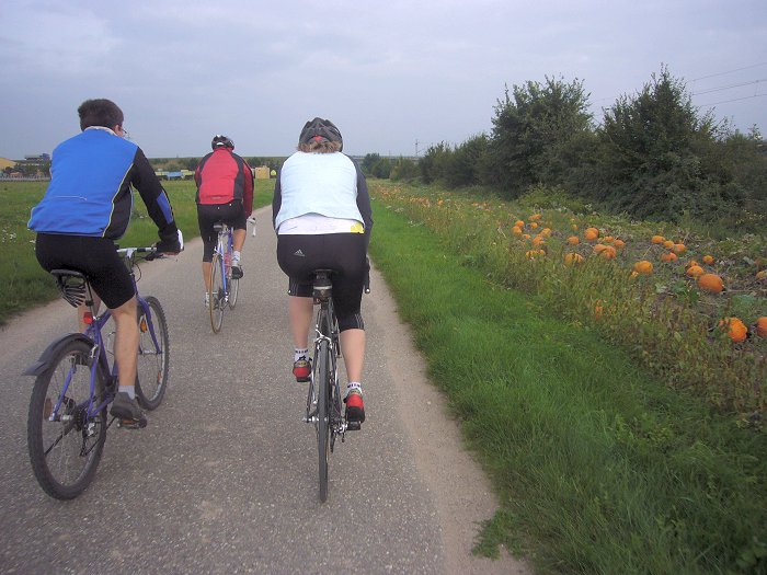 Am Kürbisfeld vorbei