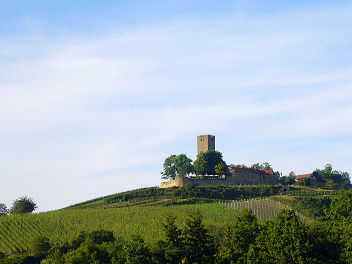 Die Ruine Ravensburg