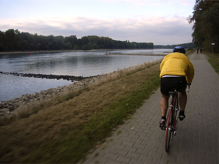 Rhein mit Niedrigwasser