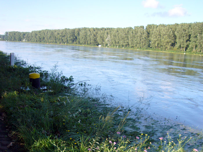 Das Flussbett ist ganz schön voll ...