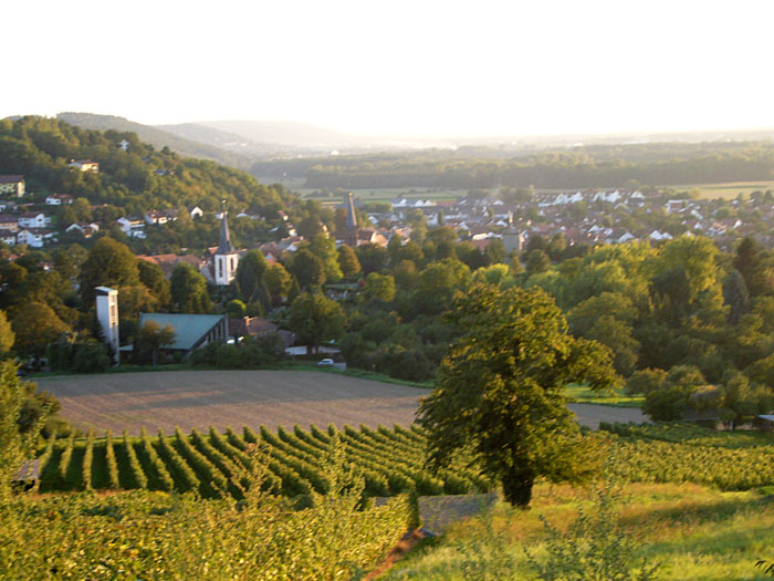 Blick vom Katzenberg nach Durlach