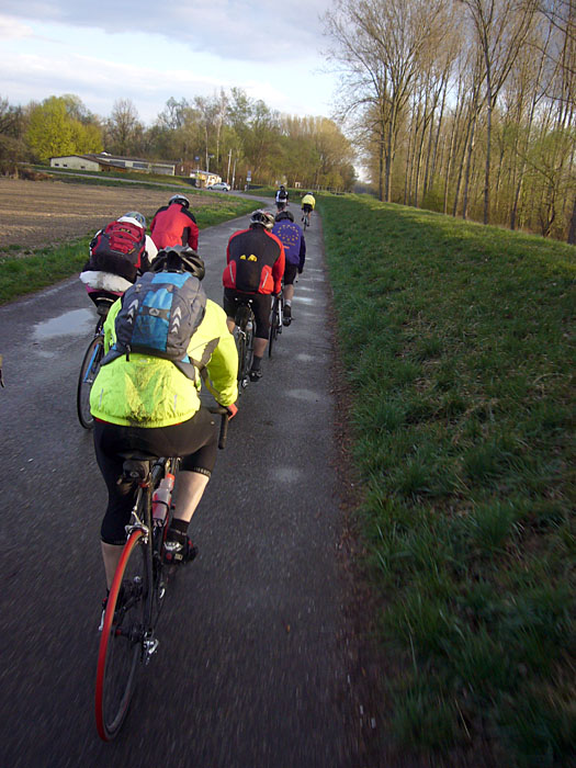 Fast in Reih und Glied