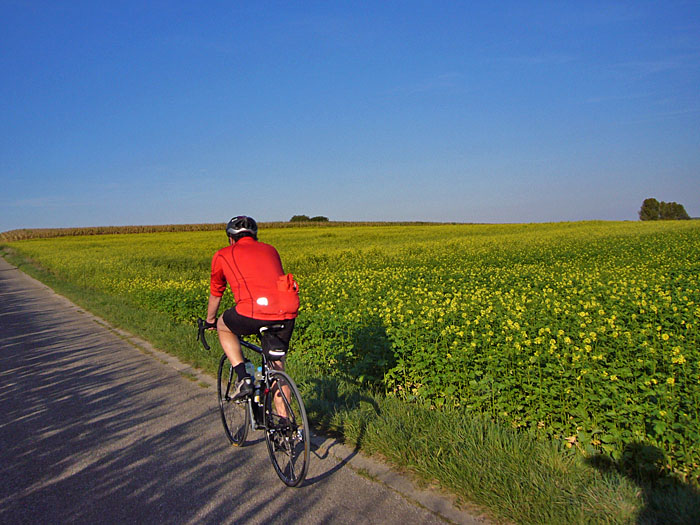 Albert vor herbstlicher Kulisse