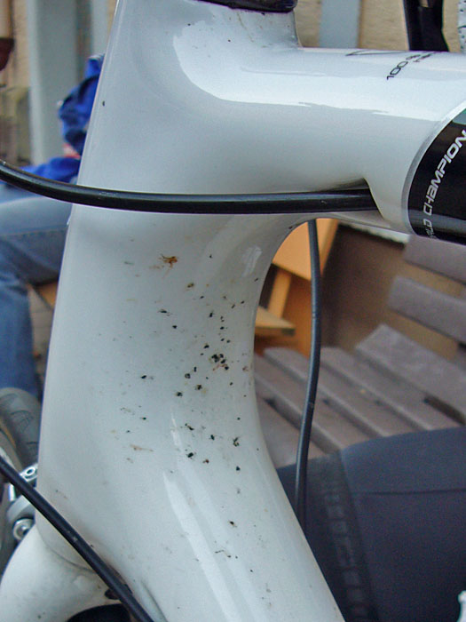 An Pavels Rad kleben die Mücken auf der Hinterseite? Pavel, du musst schneller fahren ;-)