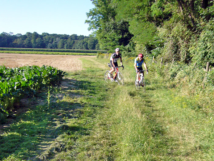 Anscheinend war irgendetwas im Schorle ...