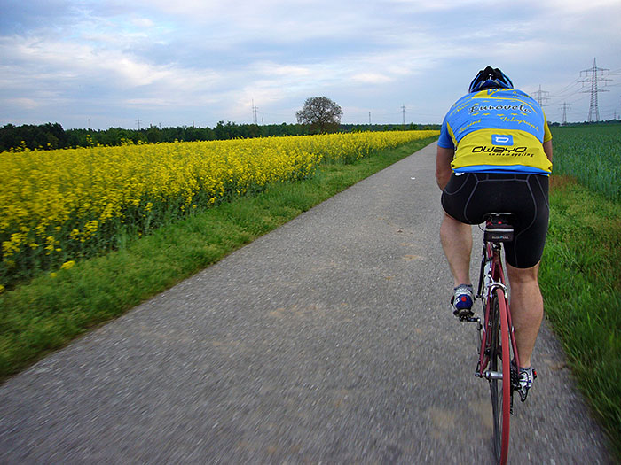 Rückweg durch den Flachs