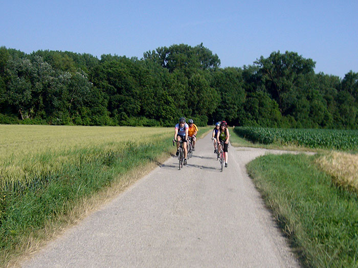 Auf der badener Seite nach Germersheim