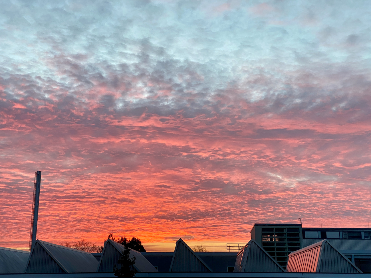 Morgendlicher Himmel nach der Fahrt zur Arbeit