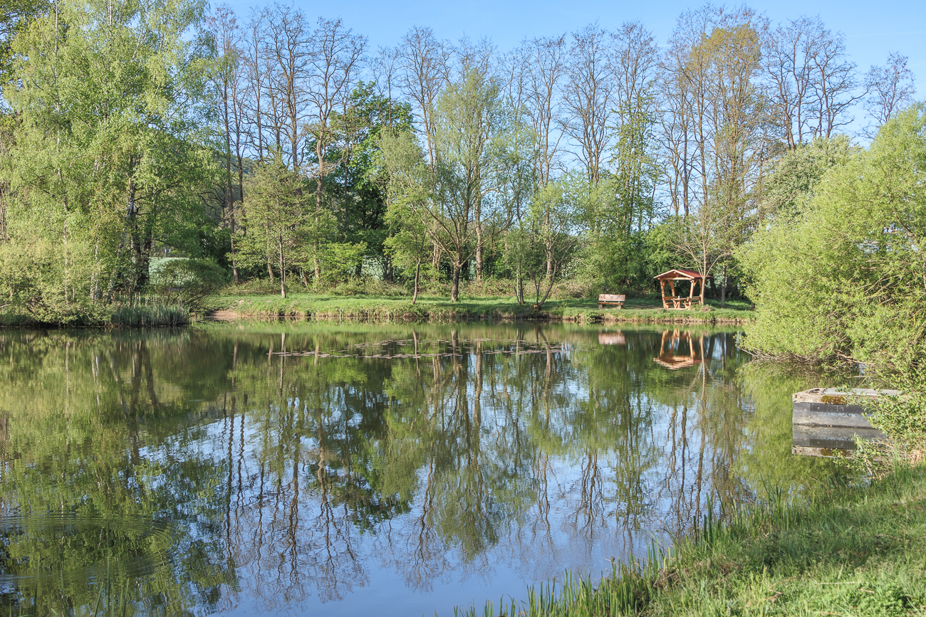 Am Gänseweiher bei Limbach