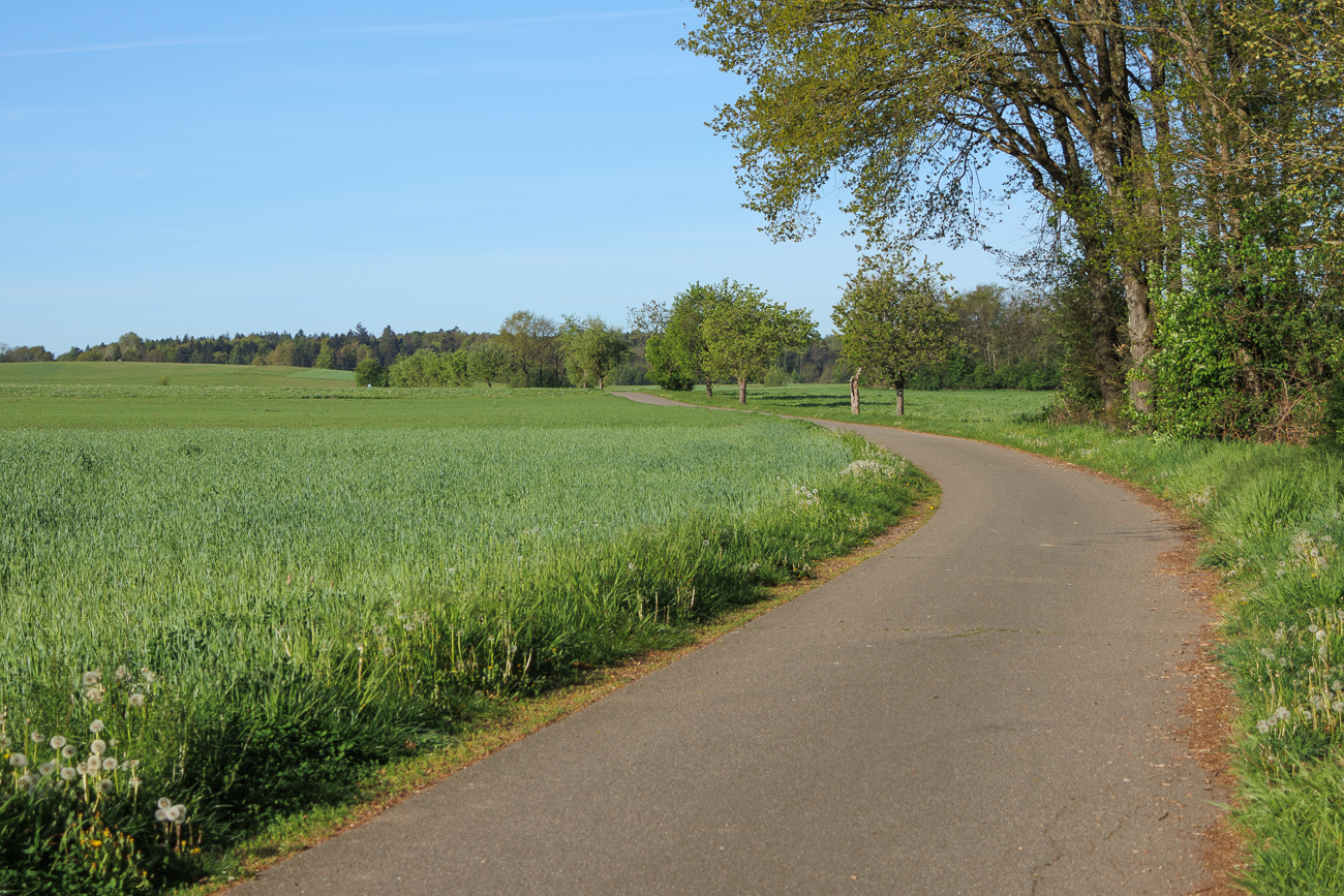 Schöner Wirtschaftsweg zwischen den Feldern