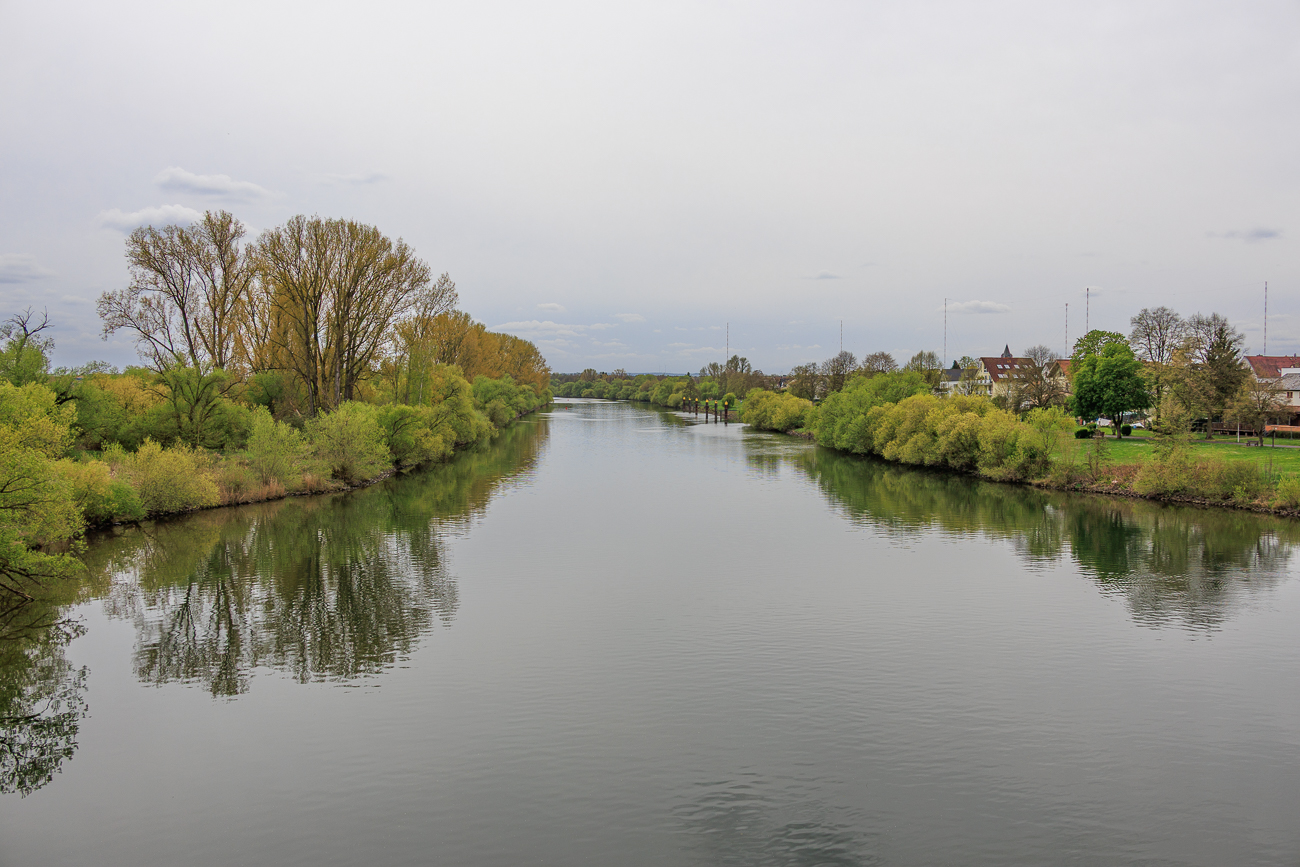 Auf einer Brücke über dem Main