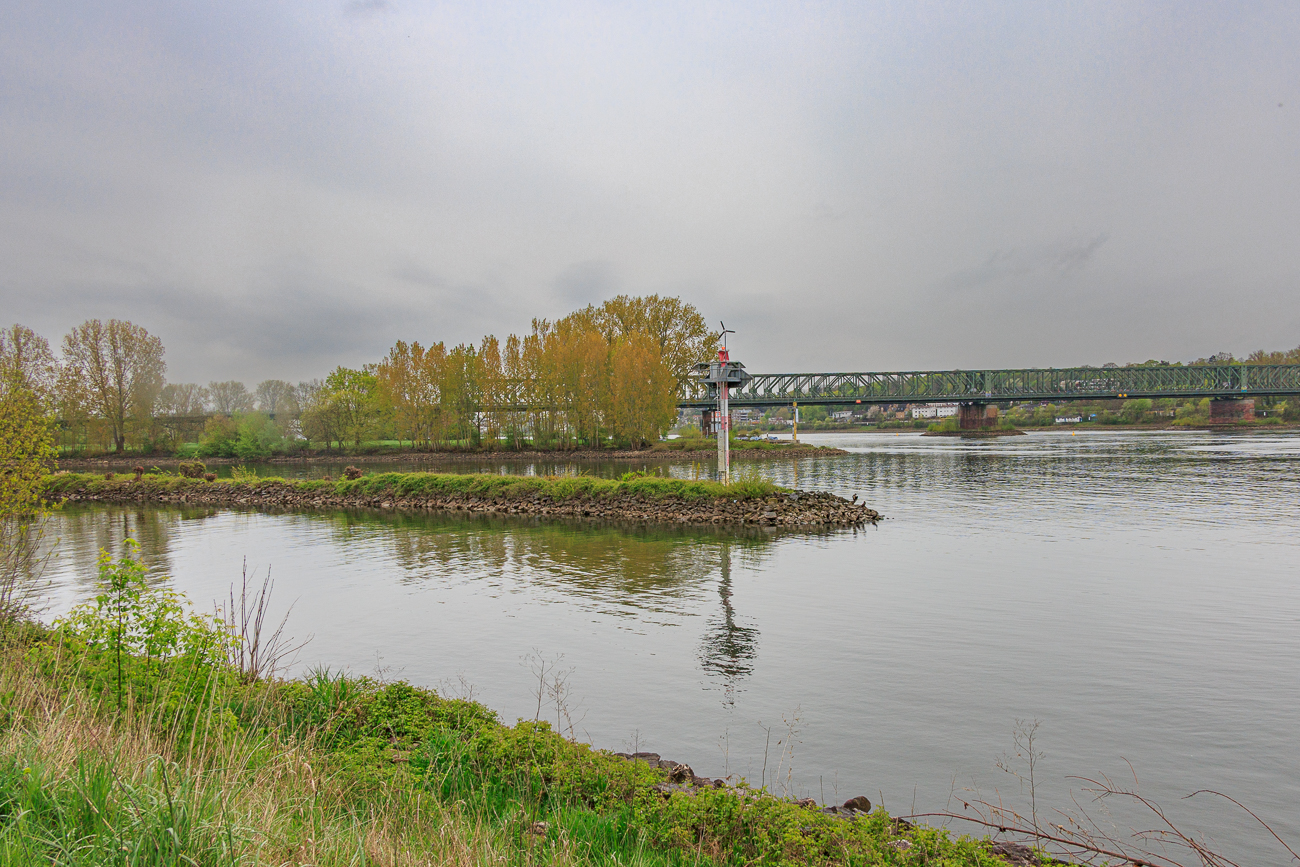 Die Mündung des Mains in den Rhein (Mainspitze)