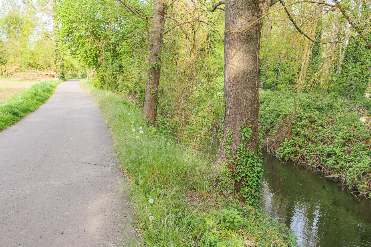 Radweg am Mühlgraben