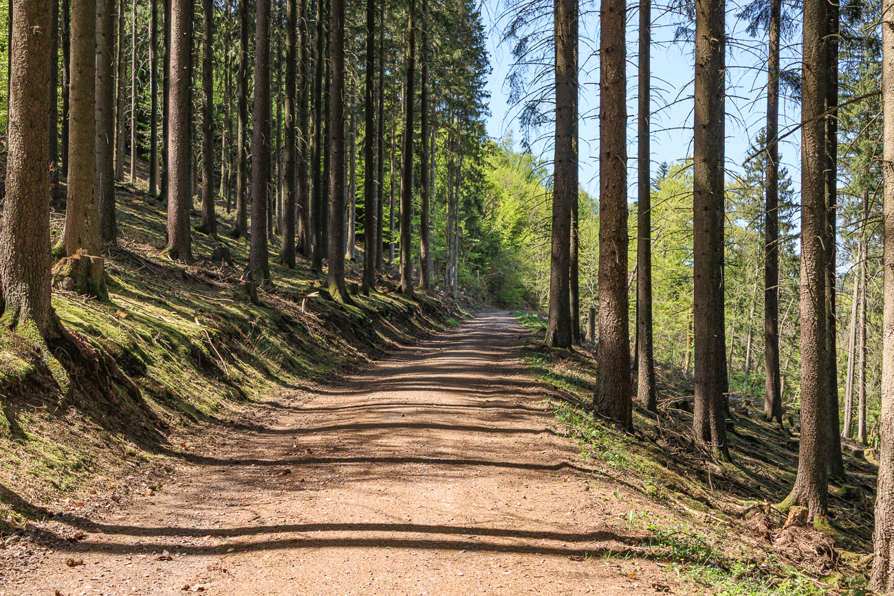 Hier verlasse ich den Naheradweg und wende mich gen Süden