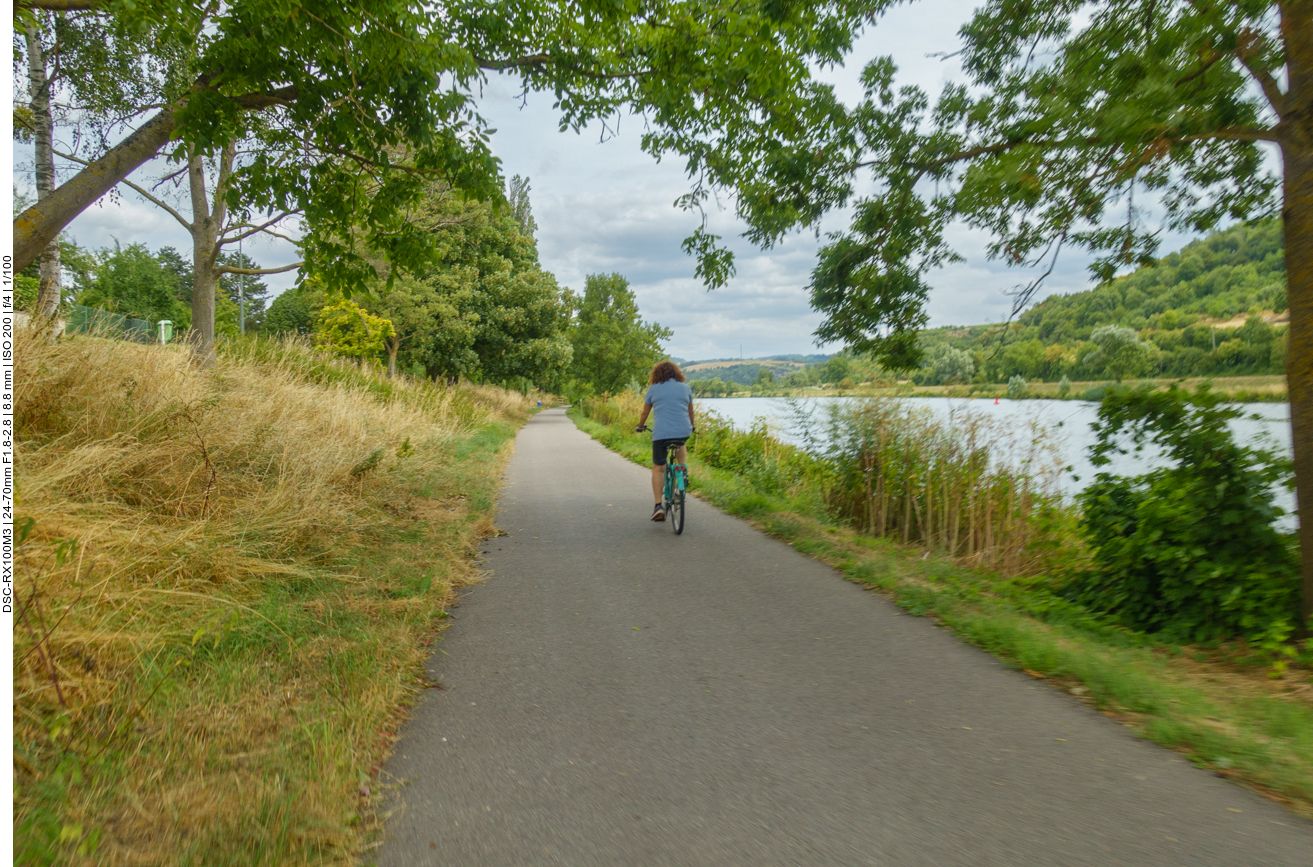 Zunächst fahren wir ein Stück an der Mosel entlang
