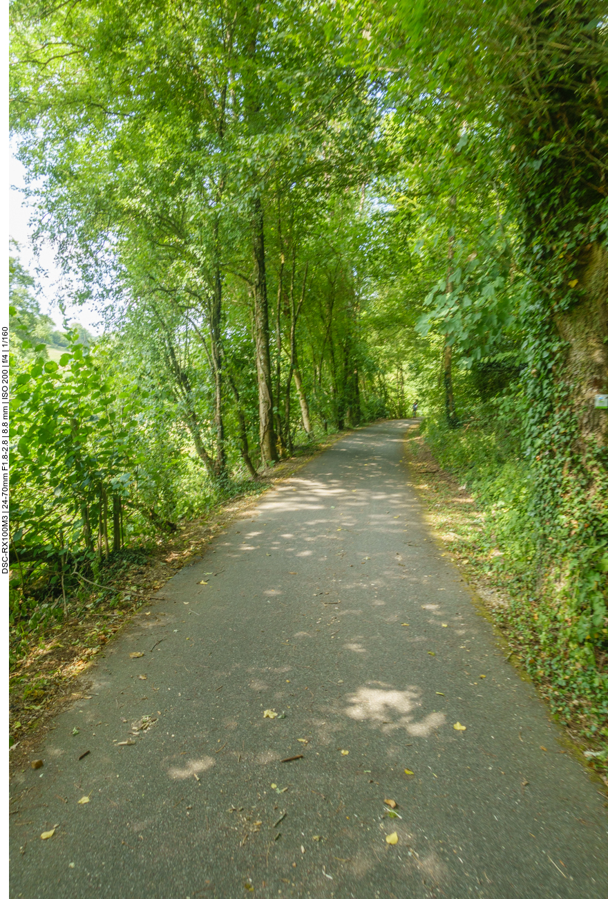 Schattiger Radweg