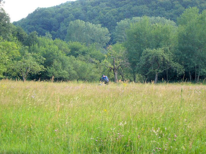 Auf dem Rückweg