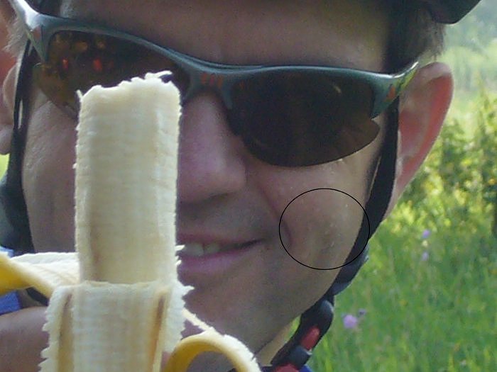 Beweisfoto: Normalerweise schwitzt Joachim nie, aber hier sind Schwei&szlig;perlen deutlich zu sehen