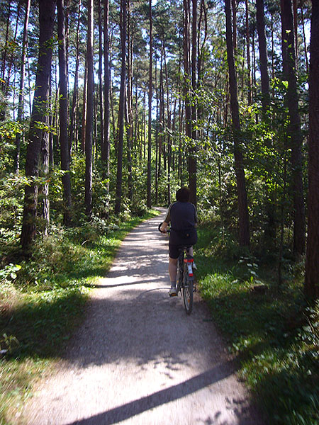 Durch den Wald zum Brombachsee