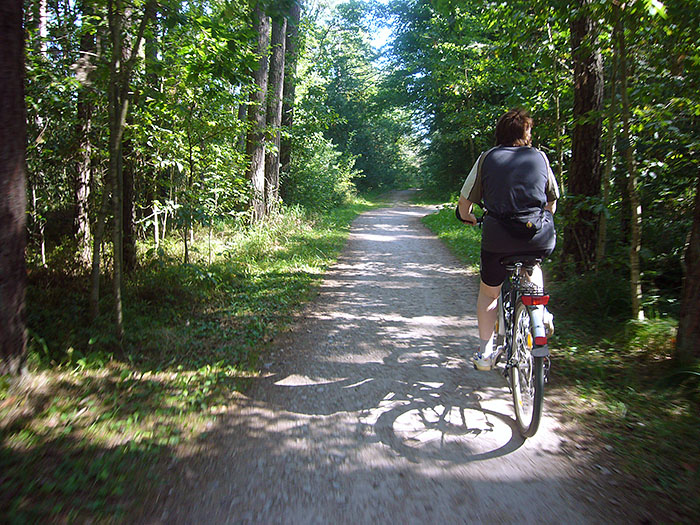 Durch den Wald zum Brombachsee